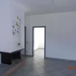 Rent 1 bedroom apartment of 35 m² in Roma