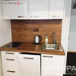 Rent 1 bedroom apartment of 35 m² in Špindlerův Mlýn