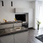 Rent 2 bedroom apartment of 56 m² in Budapest