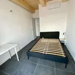 Rent 3 bedroom apartment of 65 m² in Turin