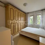 Rent 2 bedroom apartment of 55 m² in Milano