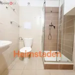 Rent 2 bedroom apartment of 46 m² in Havířov