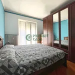 Rent 2 bedroom apartment of 50 m² in Turin