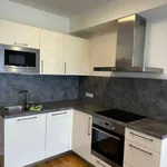 Rent 1 bedroom apartment in Prague