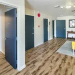 Rent 1 bedroom apartment in Berkeley