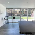 Rent 1 bedroom apartment in Canterbury