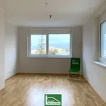 Miete 2 Schlafzimmer wohnung von 5634 m² in Schwechat