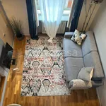 Rent 2 bedroom apartment of 50 m² in Torino