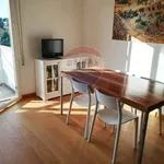 Rent 4 bedroom apartment of 50 m² in Viareggio