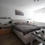 Rent 3 bedroom apartment of 90 m² in Oostelijk Havengebied