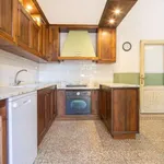 Rent 4 bedroom apartment of 250 m² in florence