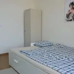 Rent a room in prague