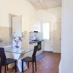 Rent 1 bedroom apartment of 45 m² in rome