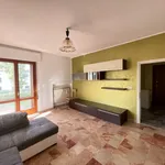 Rent 1 bedroom apartment of 100 m² in Venezia