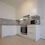 Rent 1 bedroom apartment of 30 m² in Capital City of Prague