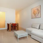 Rent 2 bedroom apartment of 100 m² in Amsterdam