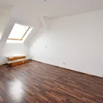 Rent 2 bedroom apartment of 47 m² in Chemnitz