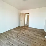 Pronajměte si 3 ložnic/e byt o rozloze 69 m² v Pilsen