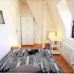 Rent 4 bedroom apartment in Bonn