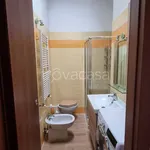 Rent 1 bedroom apartment of 45 m² in Milano