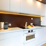 Rent 1 bedroom apartment in Wien