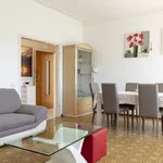 Rent 5 bedroom apartment of 116 m² in Camaiore