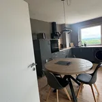 Rent 1 bedroom apartment of 57 m² in Brunswick