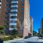 Alugar 1 quarto apartamento de 68 m² em Lagoa (Nossa Senhora do Rosário)