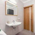 Rent 1 bedroom apartment in vilnius