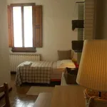 Rent a room in florence