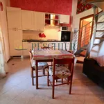 Rent 2 bedroom apartment of 50 m² in Ponti sul Mincio