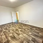 Rent 1 bedroom apartment in Ostrava