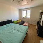 Rent 1 bedroom apartment of 37 m² in Brno