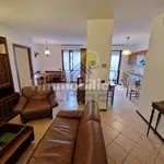 Rent 3 bedroom apartment of 100 m² in Cremona