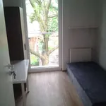 Rent a room in wroclaw