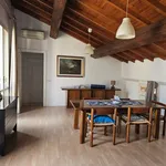 Rent 3 bedroom apartment of 110 m² in Modena