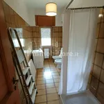 Rent 4 bedroom apartment of 20 m² in Rome