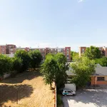 Rent 4 bedroom apartment in Madrid