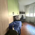 Rent 3 bedroom apartment of 20 m² in Rovereto