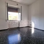 Rent 4 bedroom apartment of 90 m² in Cairo Montenotte