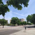 Rent 2 bedroom apartment in zaragoza