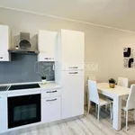 Rent 2 bedroom apartment of 60 m² in Viareggio