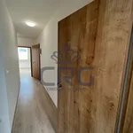 Rent 4 bedroom apartment in Brno venkov