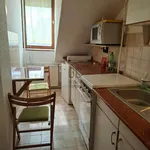 Rent 2 bedroom apartment of 44 m² in Pécs