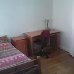 Rent 1 bedroom apartment in Port Elizabeth