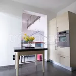 Rent 5 bedroom apartment of 200 m² in Arezzo