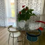 Appartamento arredato con terrazzo Viareggio