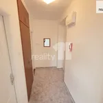 Rent 1 bedroom apartment of 46 m² in Capital City of Prague