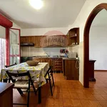 Rent 7 bedroom house of 100 m² in Piombino