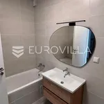 Rent 1 bedroom apartment of 60 m² in Zagreb